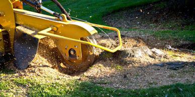 stump-removal-services